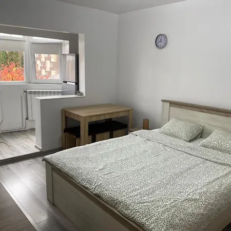 Apartment Garsoniera Zak *